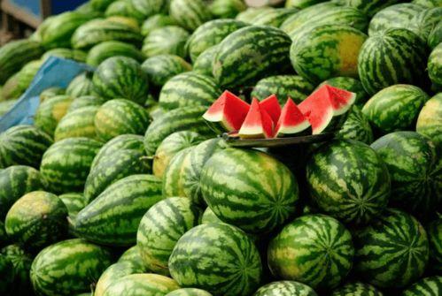 吃日本瓜的网红有哪些,盘点那些吃日本瓜的网红达人 第1张 吃日本瓜的网红有哪些,盘点那些吃日本瓜的网红达人 第1张