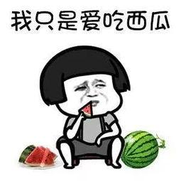 可以吃娱乐圈瓜吗,揭秘明星幕后故事 第2张 可以吃娱乐圈瓜吗,揭秘明星幕后故事 第2张